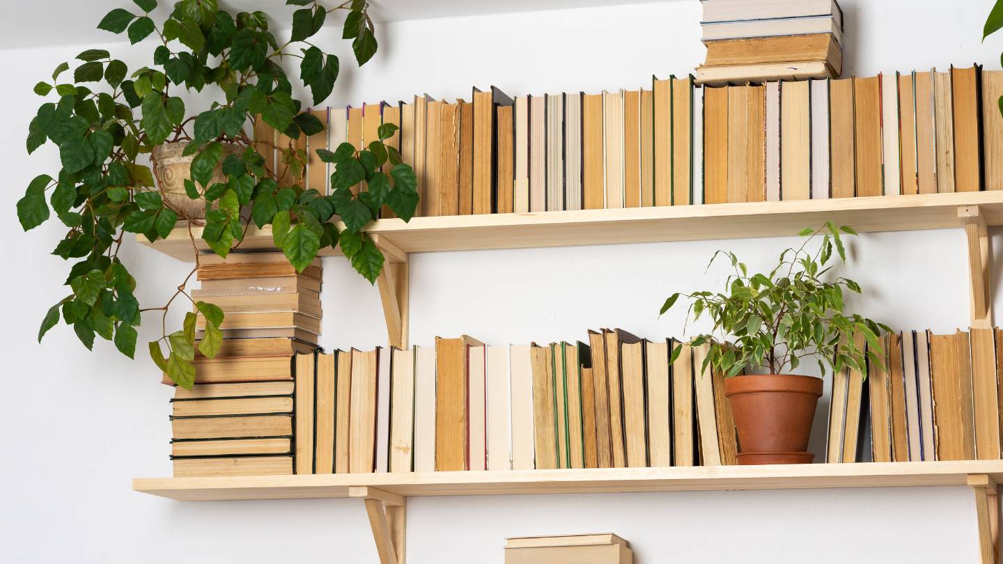 shelving for book lovers 1